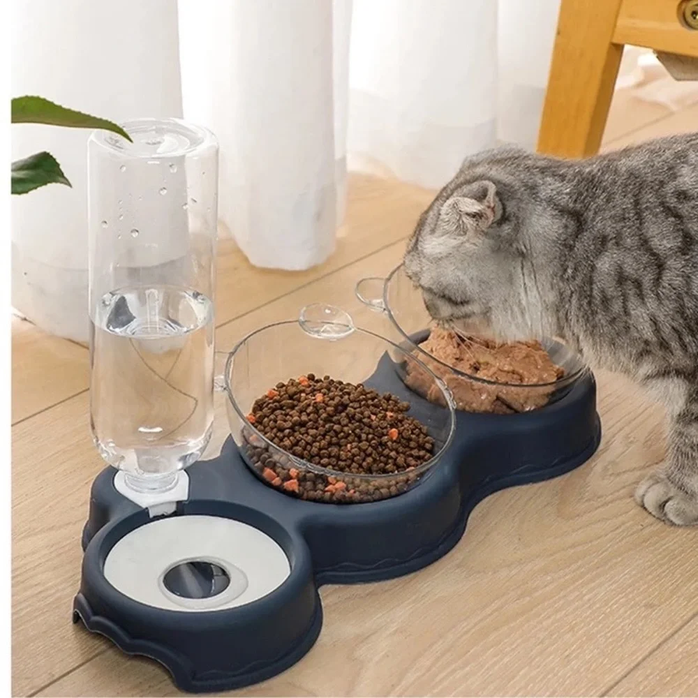 Dog cat pet food water bowl 3 in 1 set feeder automatic water bottle Bear